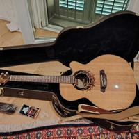 Chitarra Acustica Takamine Limited Edition 2000