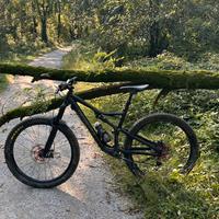 Specialized full tg M 27.5