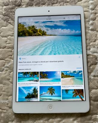 iPad mini Wi-Fi cellular 16gb white modello a1455