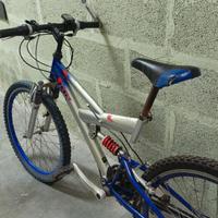 Bici mountain bike forcella centrale