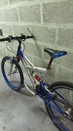 Bici mountain bike forcella centrale