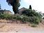 Immagine 3