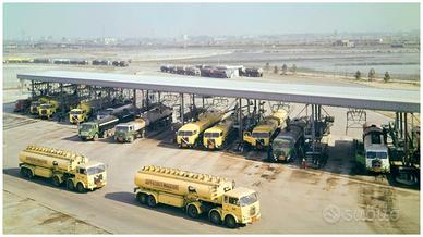 Gestore trasp.merci c.terzi(preposto),autista