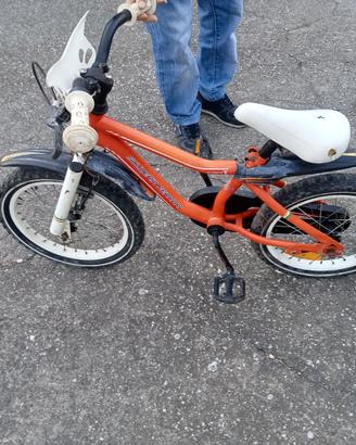 Bicicletta