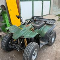 Mini Quad 100 2 tempi