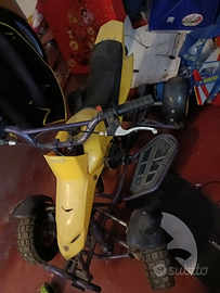 Mini quad 50