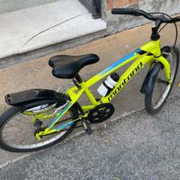 Bicii bambino