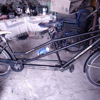 tandem bottecchia semiprofessionale 