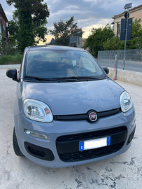 Fiat Panda GPL / Benzina 2019
