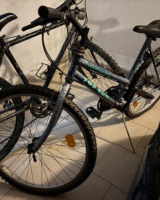 Coppia di Mountain Bike anni ‘90