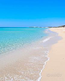 Casavacanza a Porto cesareo a 80 m dalla Spiaggia