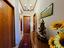 Immagine 22