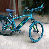 bici elettrica