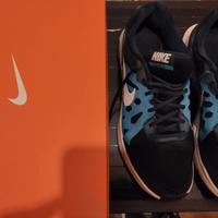 Nike modello Dart 11, blu e celeste.