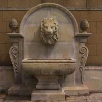 Fontana Leone.