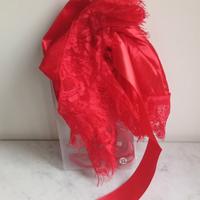 Vestaglia da camera e slip 