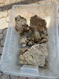 Rocce per acquario marino