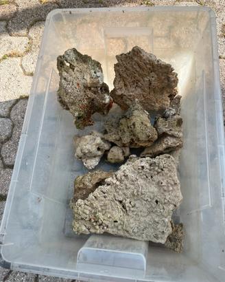 Rocce per acquario marino