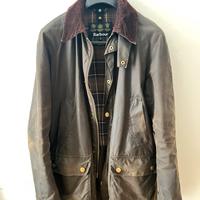 Barbour Ashby+smanicato
