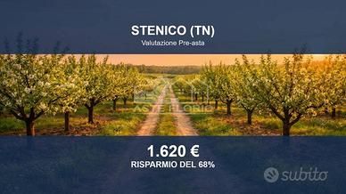 Immobile in asta di 2778 m² a Stenico