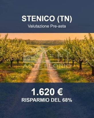 Immobile in asta di 2778 m² a Stenico