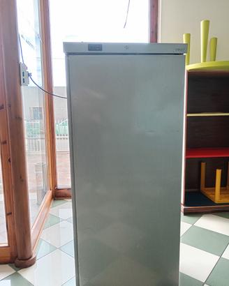 refrigeratore professionale 