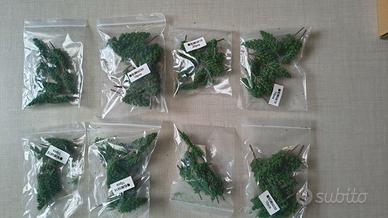 Set Alberi Inzaccherati in Miniatura x Modellismo