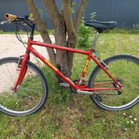 Bicicletta mountain bike ruote da 26 pollici 