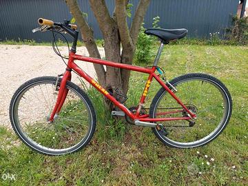 Bicicletta mountain bike ruote da 26 pollici 