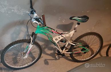 bicicletta per ragazzi 