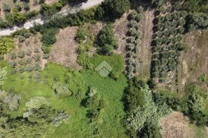 TERRENO A MOSCIANO SANT'ANGELO