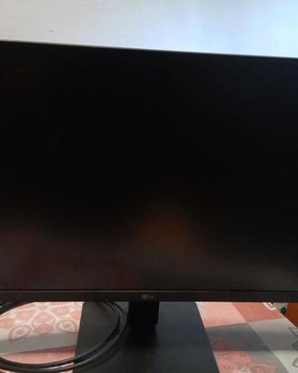 monitor LG 24 Pollici