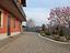 Immagine 19