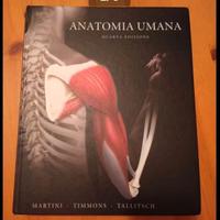 Anatomia umana Martini tallitsch