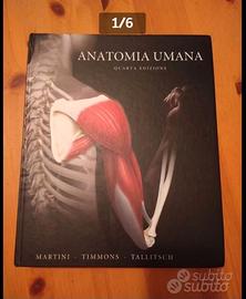 Anatomia umana Martini tallitsch
