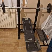 palestra