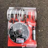 Variatore Piaggio beverly 350