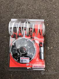 Variatore Piaggio beverly 350