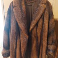 pelliccia castorino spitz