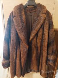 pelliccia castorino spitz