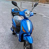 Bicicletta Elettrica