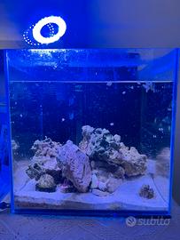 Acquario pronto all uso