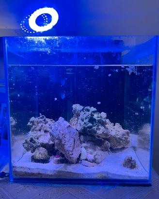 Acquario pronto all uso