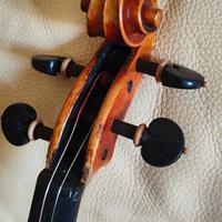 violino