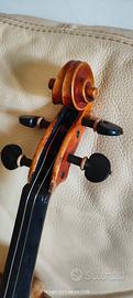 violino