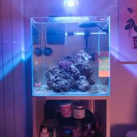 Acquario Aqpet 40x40 + mobile