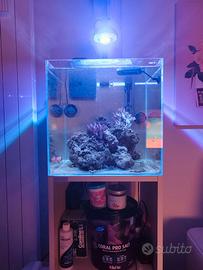 Acquario Aqpet 40x40 + mobile