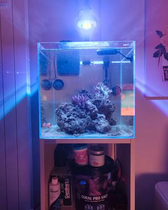 Acquario Aqpet 40x40 + mobile