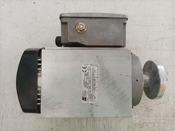 Motore elettrico Leroy Somer 230 volt