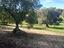 Immagine 21